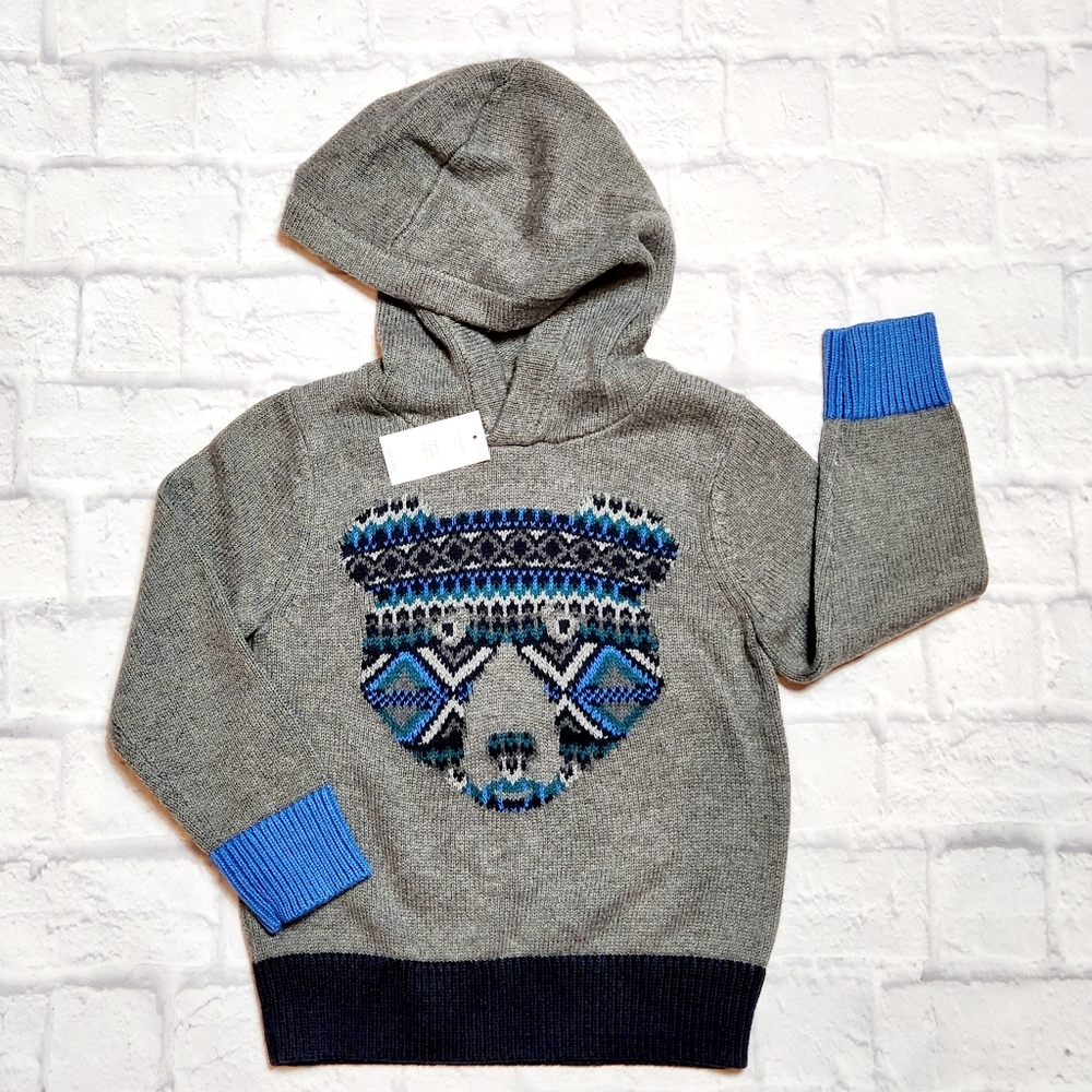 NWT Baby Gap Boys Hooded Sweater